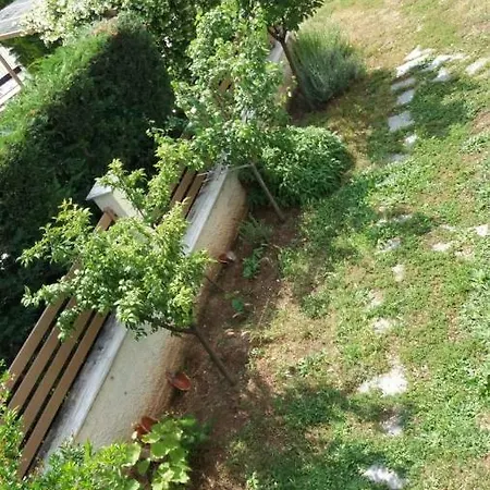 Sun Fun Apartment Palaiontsiflikion